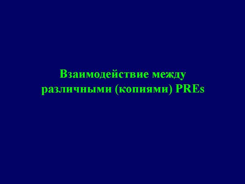 Взаимодействие между различными (копиями) PREs